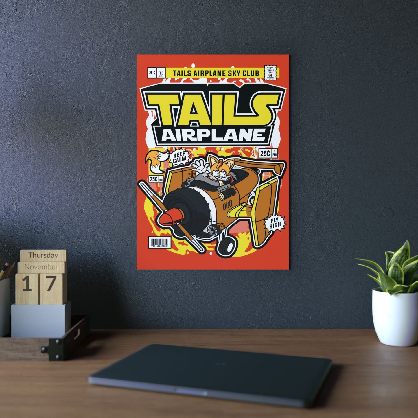 Tails Airplane Metal Poster