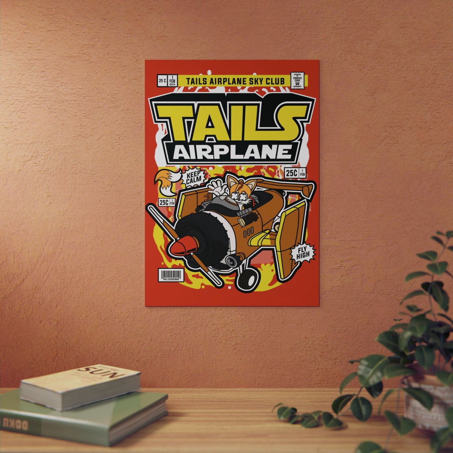 Tails Airplane Metal Poster