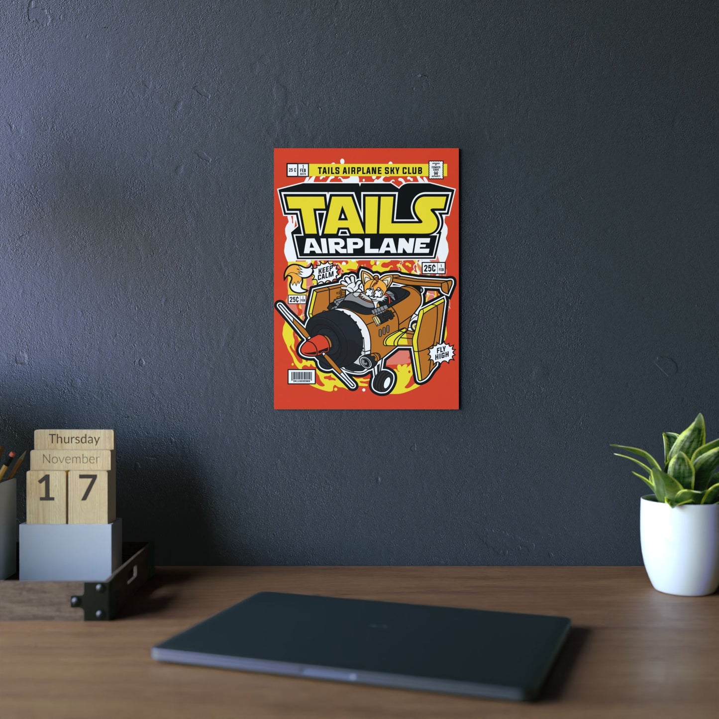Tails Airplane Metal Poster